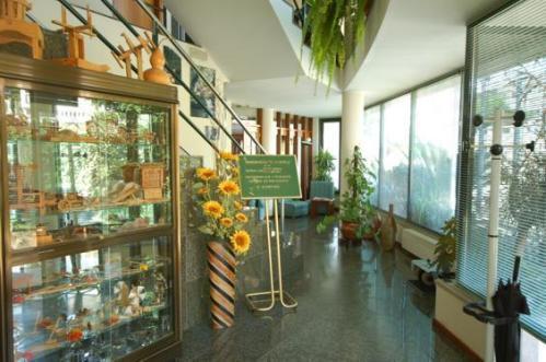 Hotel O Cortico Sever do Vouga Luaran gambar